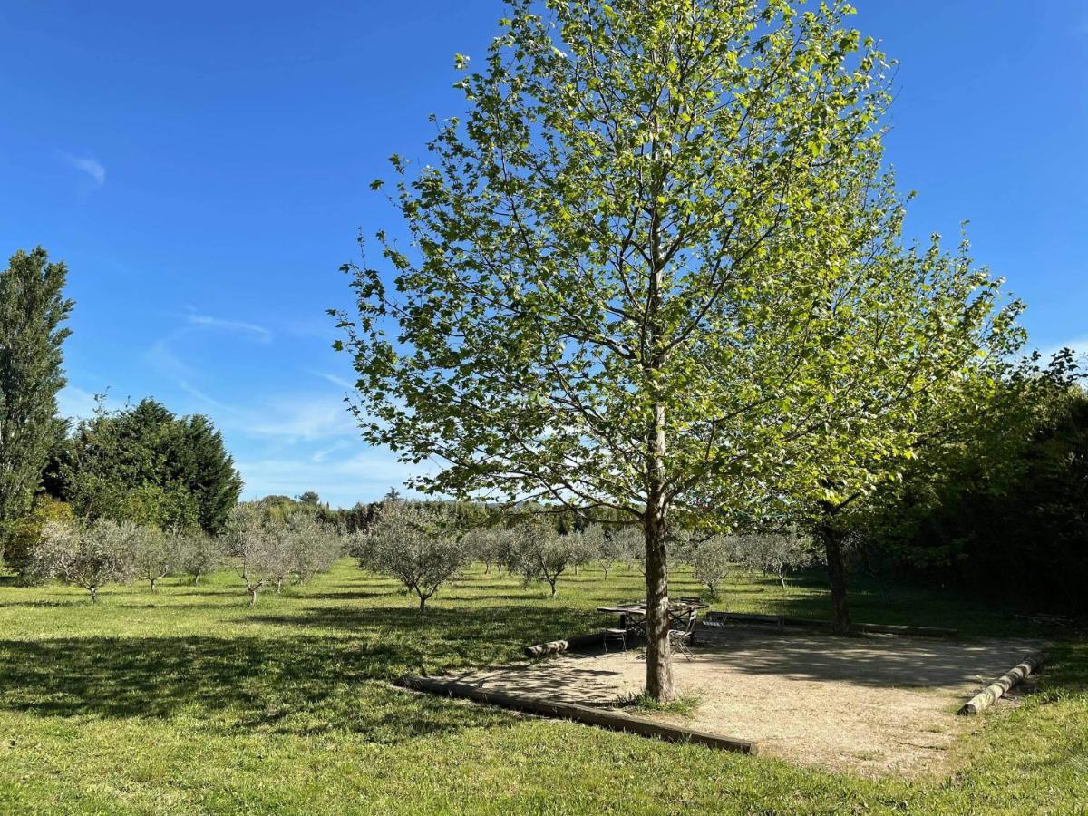 Appartement De Charme Sud Luberon Classe 4 Etoiles Puyvert Exteriör bild