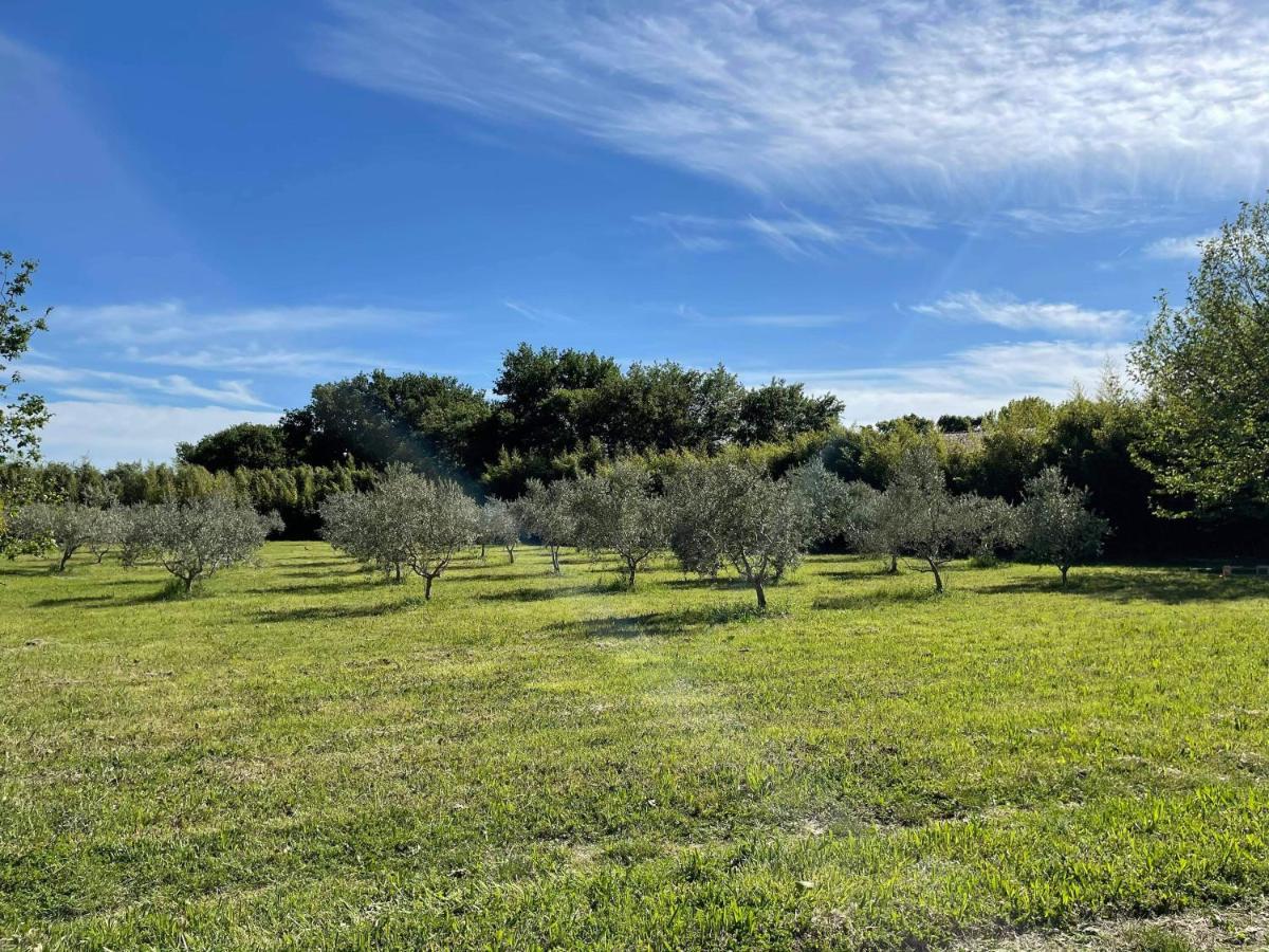 Appartement De Charme Sud Luberon Classe 4 Etoiles Puyvert Exteriör bild